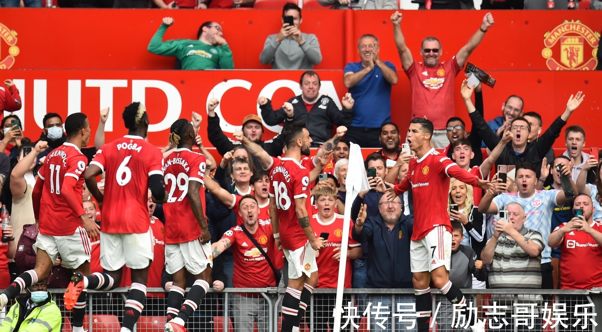 山茶油精炼设备 植物油脂成套设备