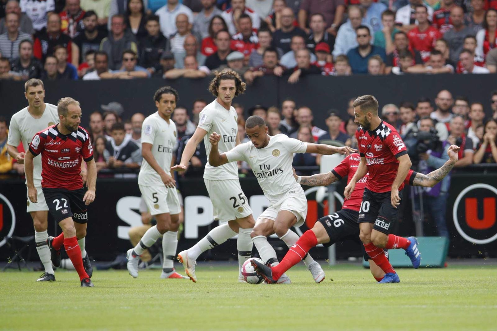 30吨植物油精炼设备